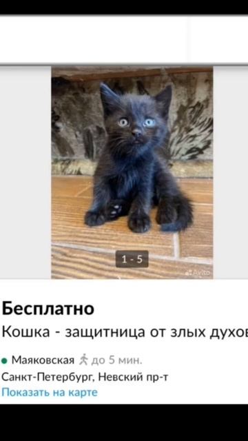 смешные объявления в Авито trending рек