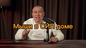 Мыши в СИП доме