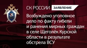 Возбужденоуголовное дело по факту гибели и ранения мирных граждан в Курской области
