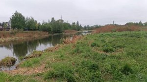 Магнолия