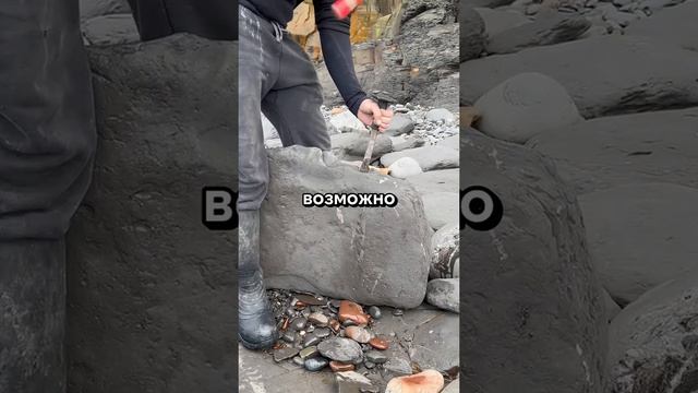 история