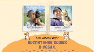 Воспитание собак и кошек в чем разница? Татьяна Куликова и Настя Бобкова.