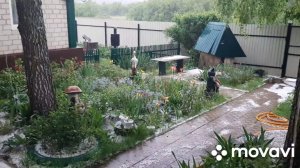 Май снова порадовал нас градом/ Совсем не летняя погода