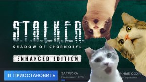 🔴 S.T.A.L.K.E.R ТЕНЬ МОДОВ EDITION... Сорян, опечатался - Enhanced Edition