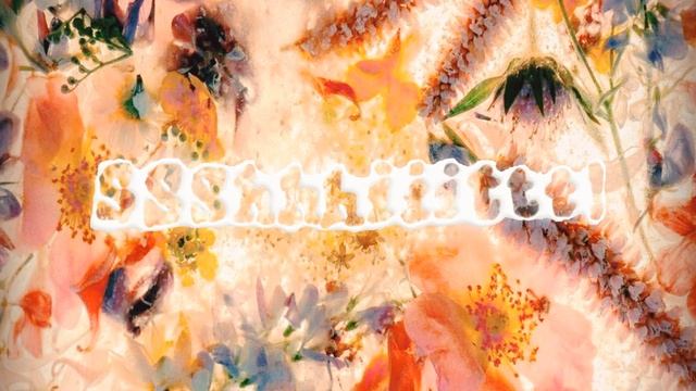 ssshhhiiittt!  сухоцвет alt.mix