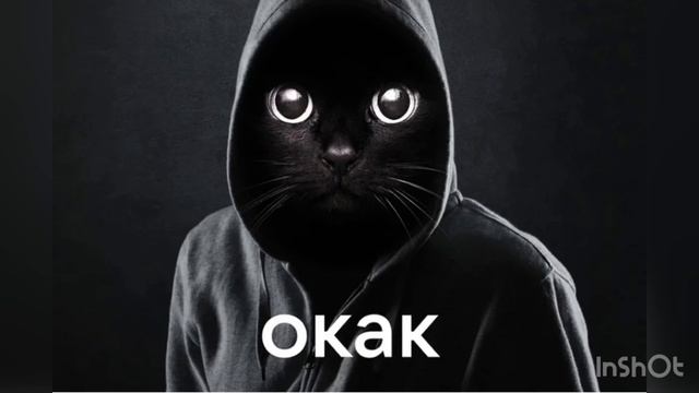 «Окак»: что значит новый мем с черным котом в капюшоне?