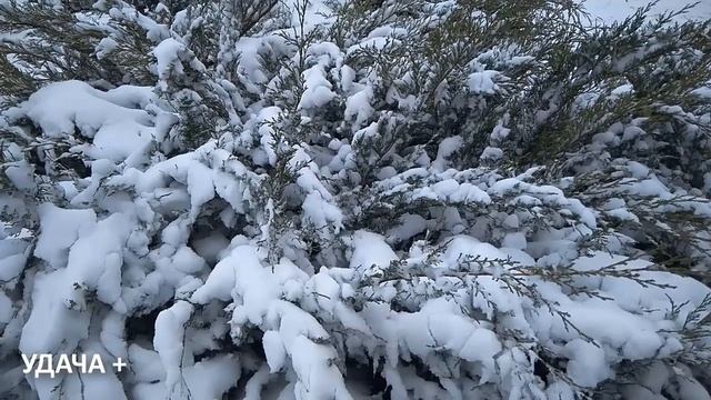 22 февраля Вселенская Родительская Суббота. Что нельзя
