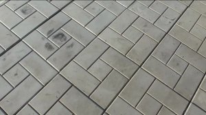 Появились маленькие червячки. Кивсяки?