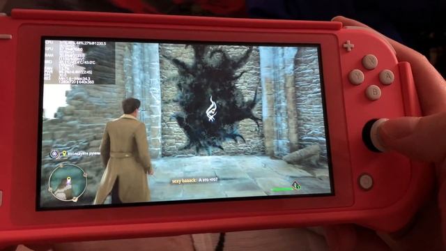 1 день с Nintendo Switch Lite, что я понял?