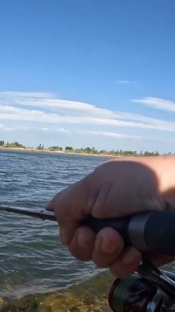 ПЛОХАЯ ПОГОДА НЕ ПОМЕХА! ГЛАВНОЕ ЧТО КЛЮЕТ  #norstream #рыбалка #fishing #jackall #new #newvideo