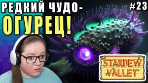 ЛОВИМ РЕДКИХ РЫБОК ► Stardew Valley 1.6 ► 23 #топыкатегорий