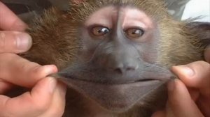 Капитал прожиточного минимума :D