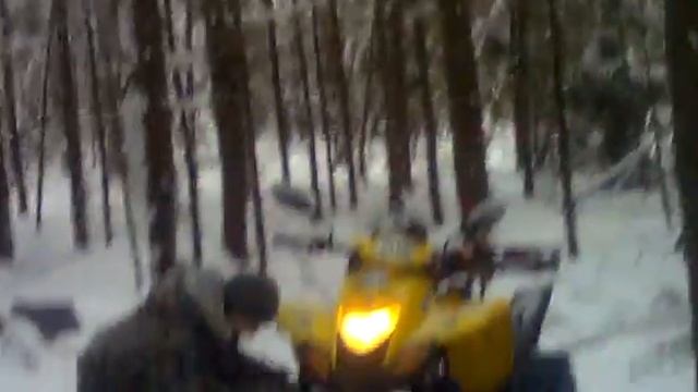 Квадроциклы.DINLI 110 D