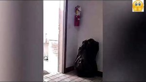 Всячинки