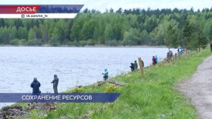 Браконьерство угрожает нересту в Нижегородской области