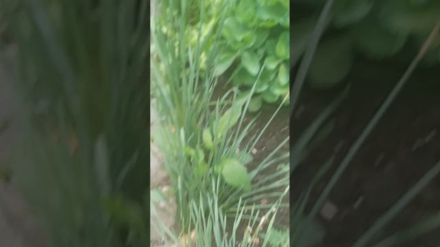 1000047554.mp4. 💐🙏❤️ ДЛЯ ДУШИ 🙏❤️💐🖋️🚀🖋️🚀🖋️🚀