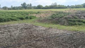 Муж будет в восторге. Высаживаем рассаду горького перца.