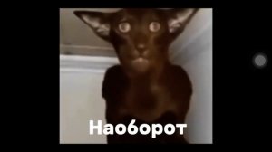 Миша ты что пукнул но разные эффекты