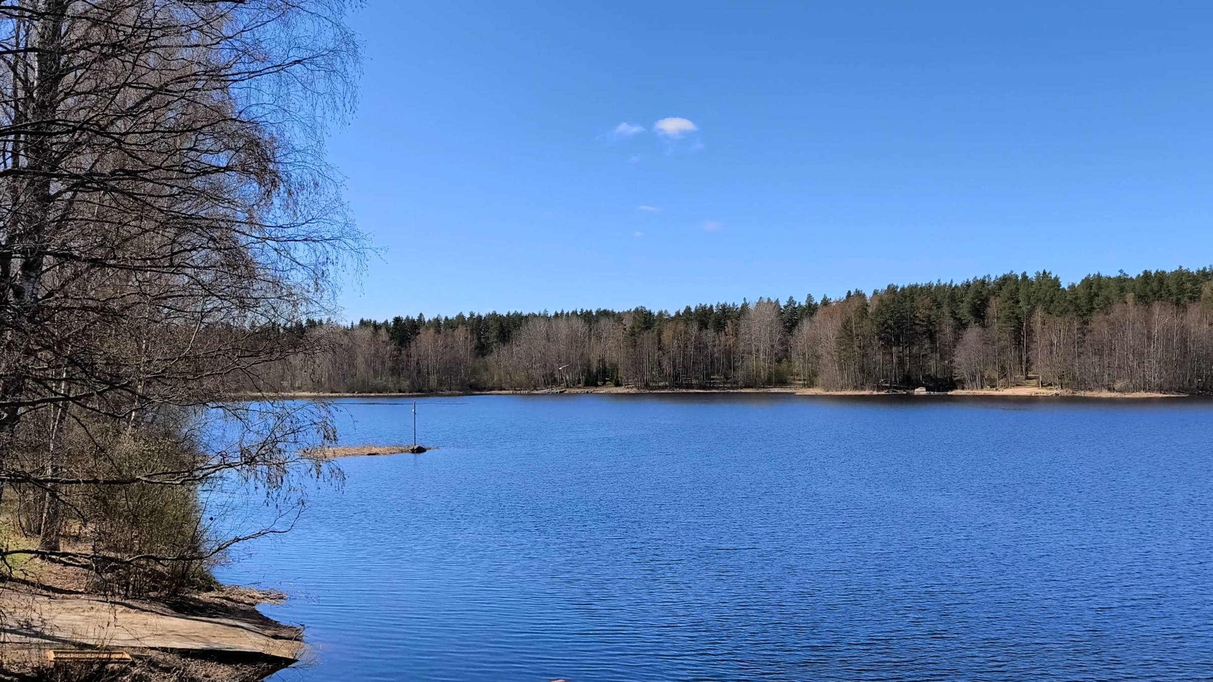 База отдыха РОМАШКИ