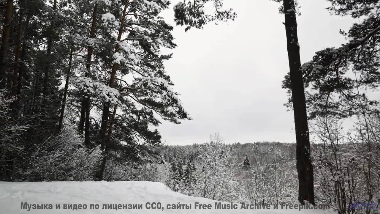Музыка будущего, которую создал искусственный интеллект! - El dolor del hombre blanco (XXXVI) -- opo