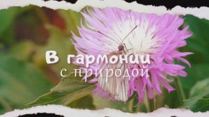 В гармонии с природой #велопрогулка