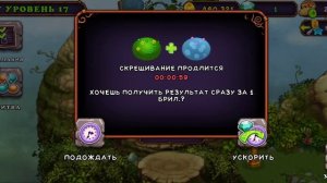КАК ВЫВЕСТИ РЕДКОГО МАРАКАСТУКА |Я СДЕЛАЛ САХАБУША!!!