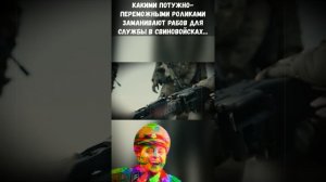 Так выглядит ожидание и реальность для свинорылых на нуле