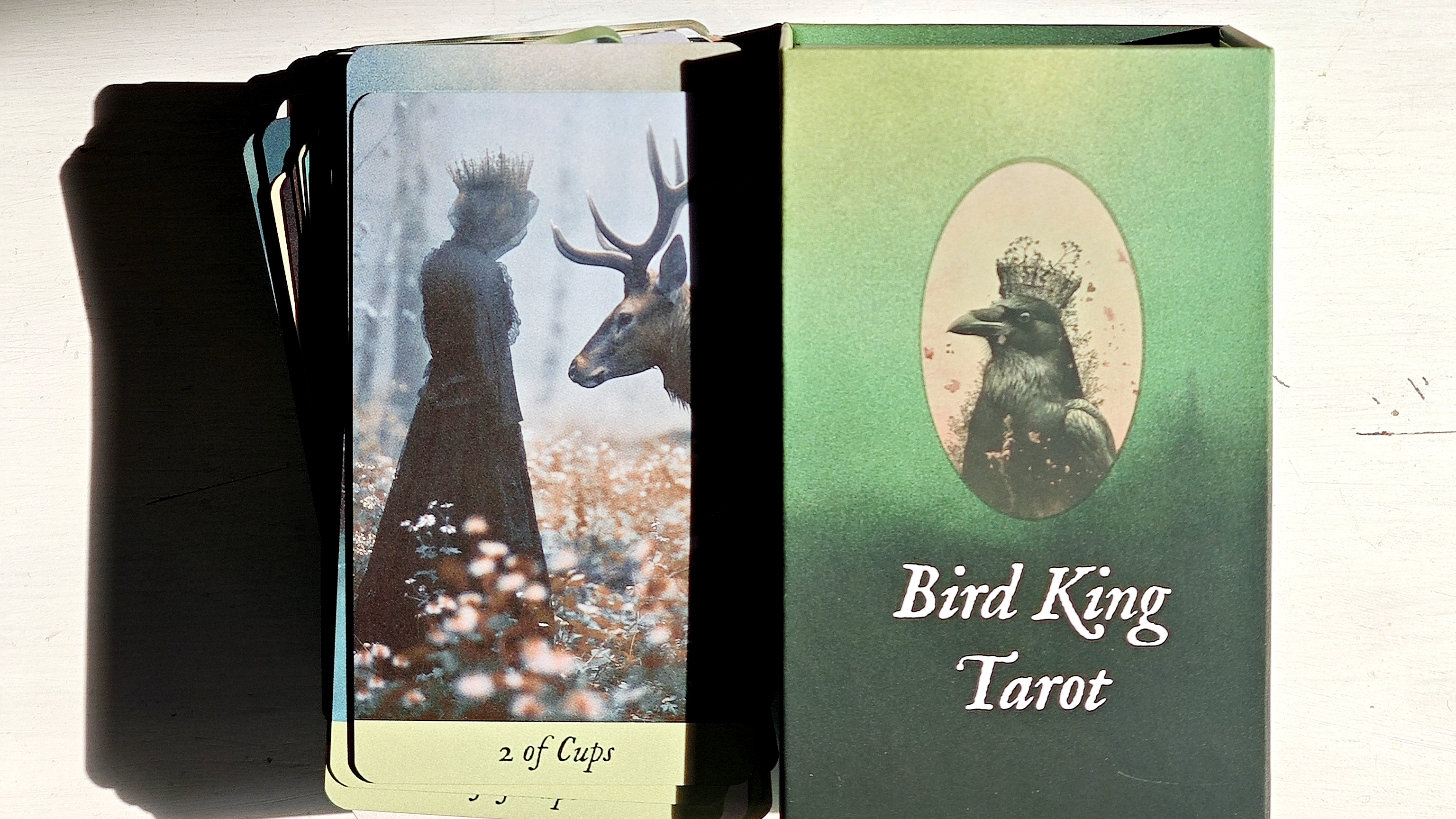 Великолепное, призрачное Bird King Tarot - Таро Птичьего Короля!🐦⬛🪶🐦