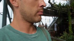 Green Planet (Зеленая планета) в Дубае — цена билета в оранж