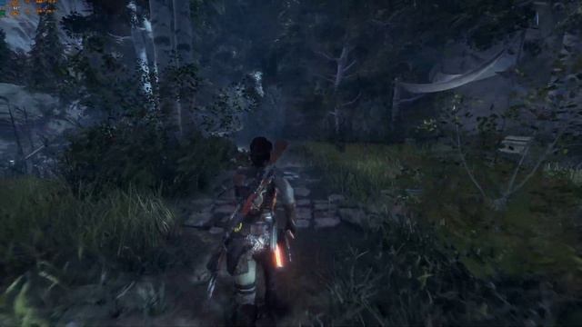 Rise of the Tomb Raider Xeon 2667 v2 (8\8) GTX 1080Ti, смешанные настройки, 4K, 3840x2160 смотреть онлайн