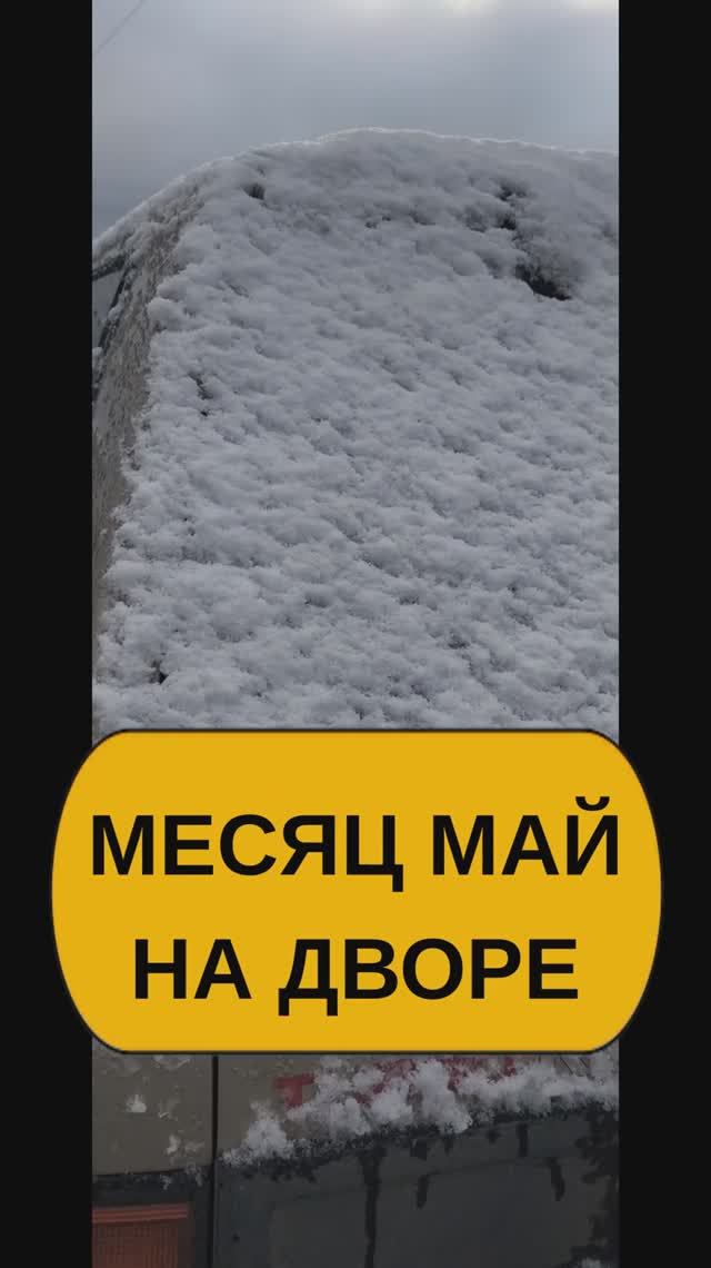 Месяц май. Снега навалило в Сибири!