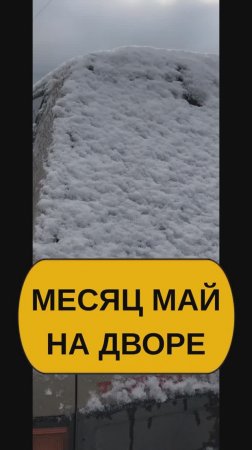 Месяц май. Снега навалило в Сибири!