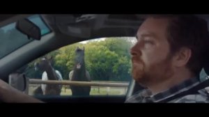 Ржач!! Лошади смеютя над водителем, который не может припорковать авто!!Funny video