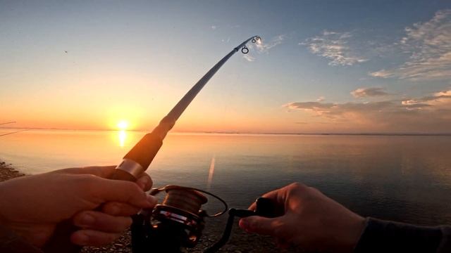 Во Время Первой Рыбалки На Волге В 2024 Году, Наткнулся На Нерест Рыбы И Вот Что Из Этого Получилось