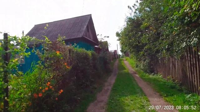 Тюльпан сады в Йошкар-Ола июль 2023 смотреть онлайн