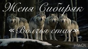 Женя Сибиряк «Волчья стая»