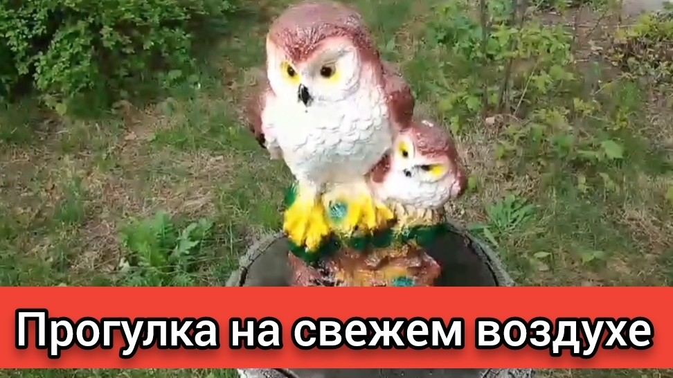 ПРОГУЛКА НА СВЕЖЕМ ВОЗДУХЕ- ЗАЛОГ ЗДОРОВЬЯ!