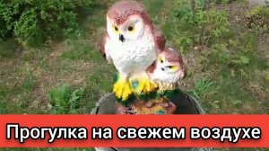 ПРОГУЛКА НА СВЕЖЕМ ВОЗДУХЕ- ЗАЛОГ ЗДОРОВЬЯ!
