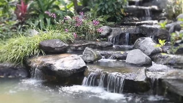 Лови дзен с новинкой Kaori Zen!!! смотреть онлайн