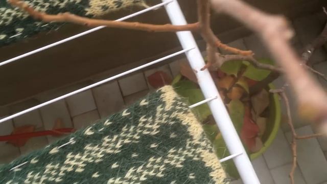 Вяжу огромное колючее ОДЕЯЛО на зиму (пряжа Пехорка Де