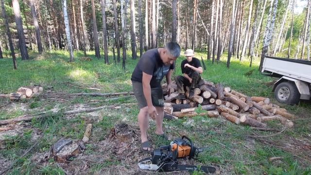 Пора пилить БАБКИ!!! Правильные бензопилы ZimAni PRO....