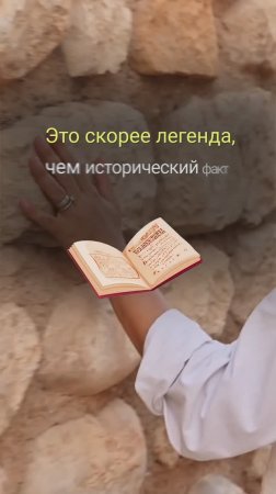 ДИОГЕН ЖИЛ В БОЧКЕ? | Разбор теории #новости #факты #мифы