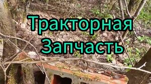 МОЩНАЯ НАХОДКА В ДЕЛЯНКЕ.