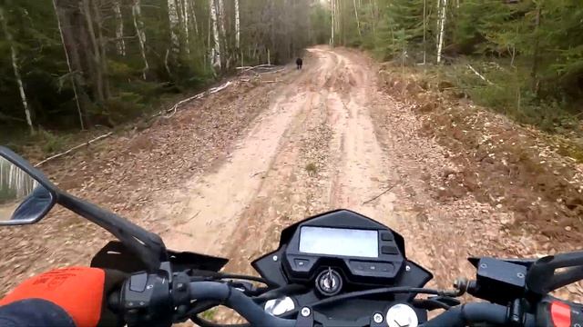 ПРОГУЛКА НА ЭНДУРО ZID 250 ПО ЛЕСУ смотреть онлайн