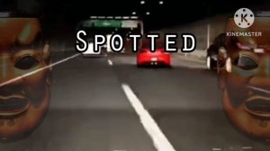 XLXR - Spotted
