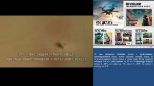 КСИОН Пермского края