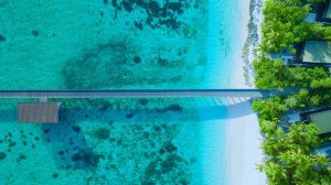 Отель Park Hyatt Maldives - Social - Overall Hotel