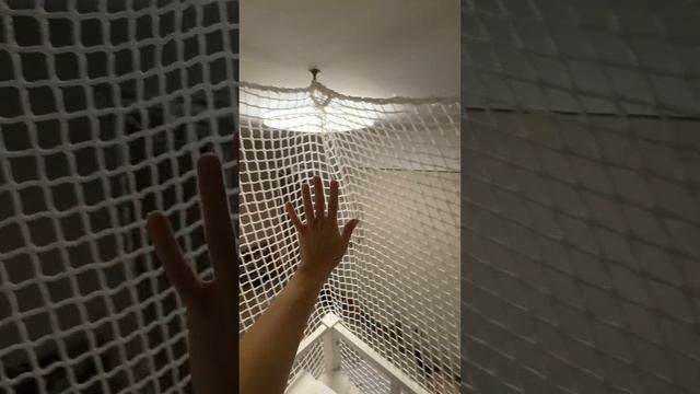 5 февраля 2025 г.