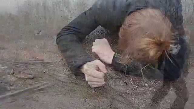 ПРОЕКТ - Аномальная шиза смотреть онлайн