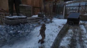 Испытание Повреждение данных Rise of the Tomb Raider